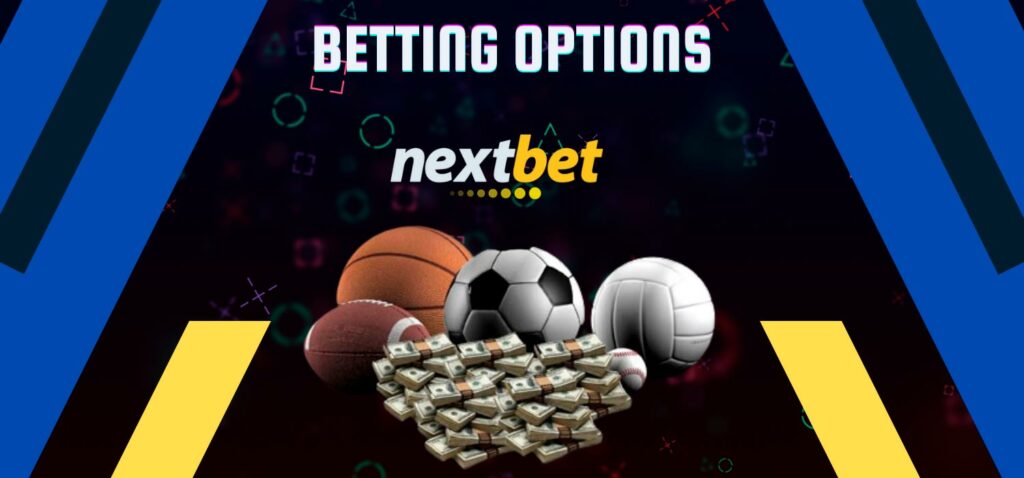 What are the betting options in the Nextbet application